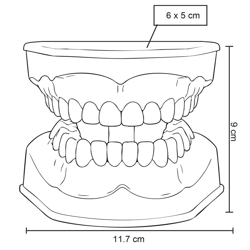 ODONTO 3